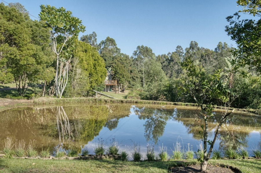 Commercial Property for Sale in Harkerville A H Western Cape